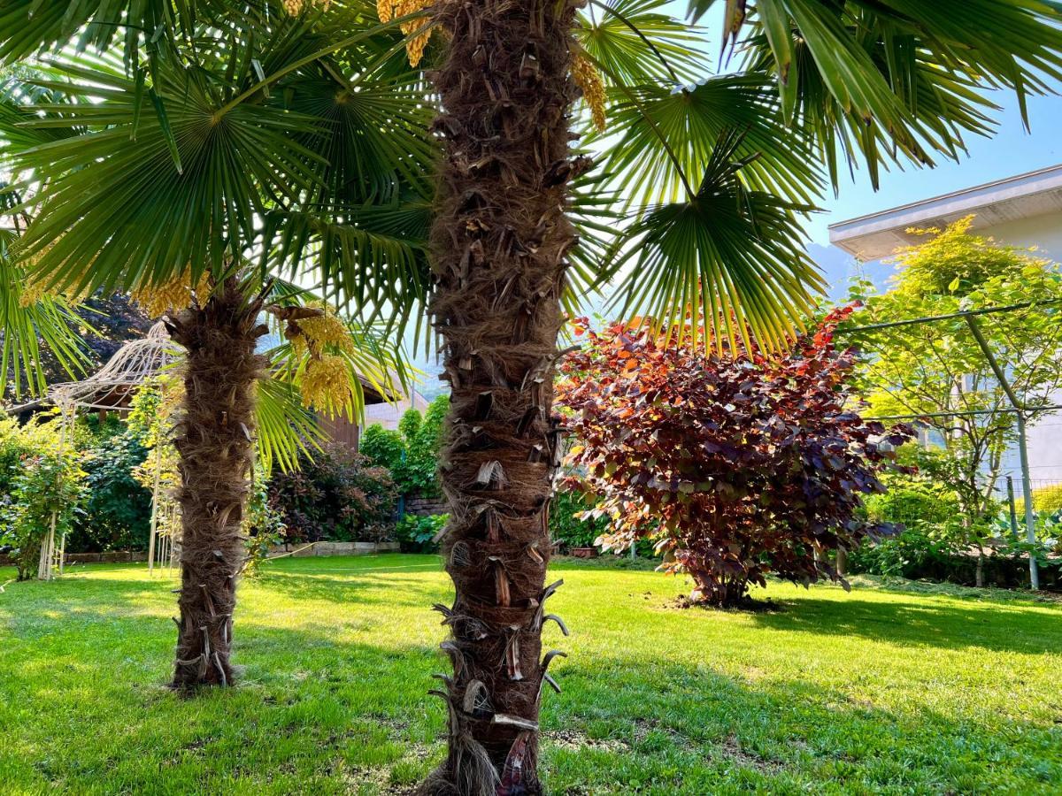 La Finestra Sul Giardino - B&B Cavedine Exterior foto